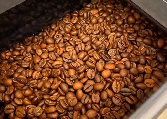 Oak Alyn Hotel Llandudno